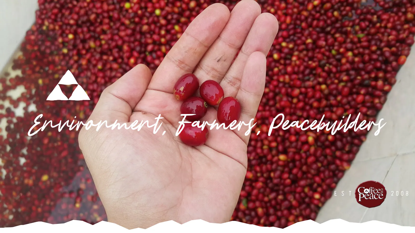 environment-farmers-peacebuilders